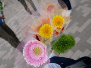 기념품 가베라 등